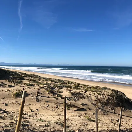 Maison Sous Les Pins