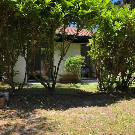 Maison Sous Les Pins