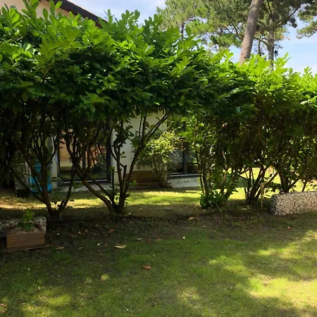 Maison Sous Les Pins Seignosse