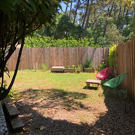 Maison Sous Les Pins Semesterbostad *